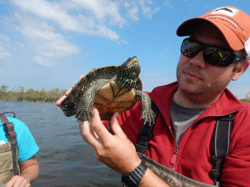 Travis holds a northern map turtle for the camera.